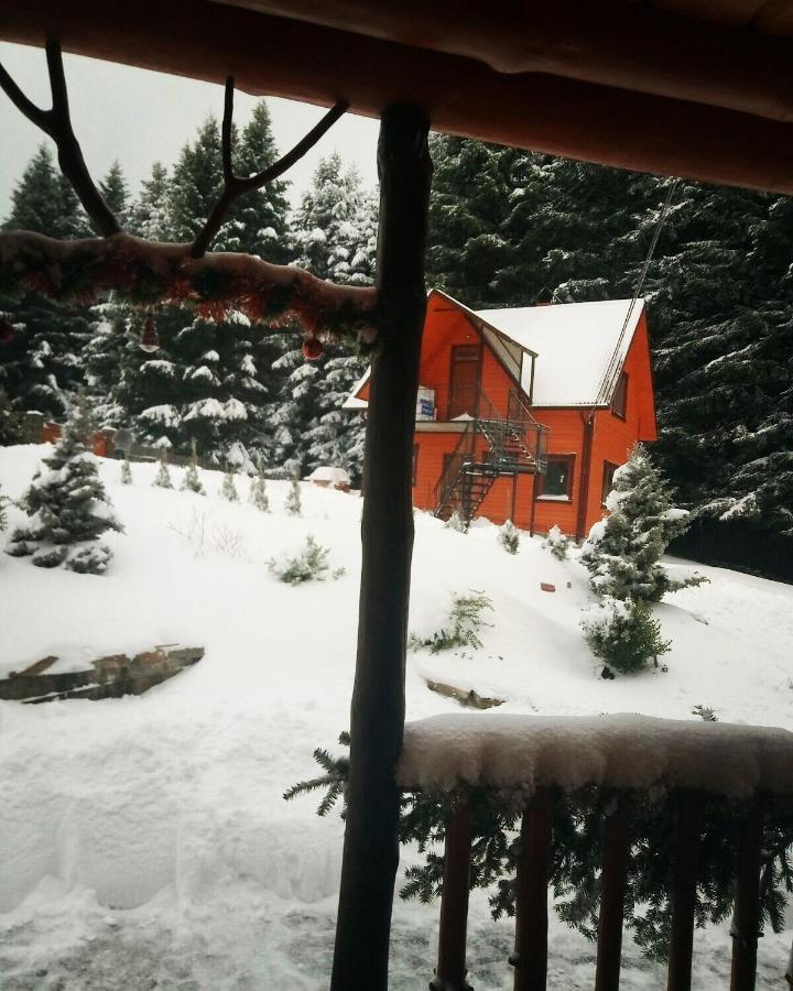 Sadyba Drymba Skhidnytsia Kültér fotó