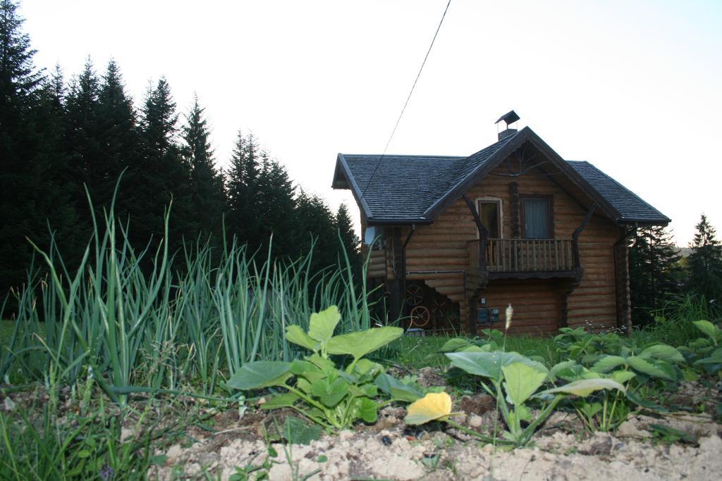 Sadyba Drymba Skhidnytsia Kültér fotó