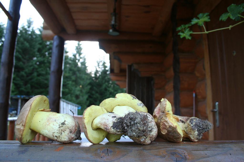Sadyba Drymba Skhidnytsia Kültér fotó